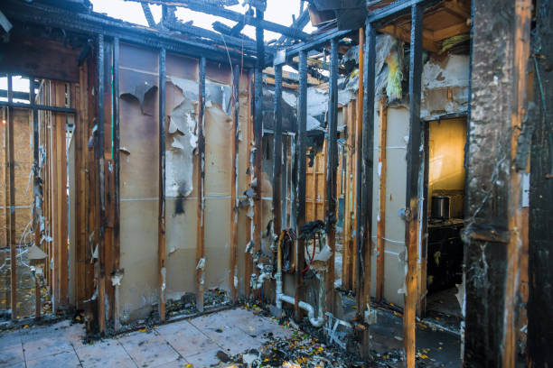 Professional Fire Damage Removal technician working in Woodbury, MN