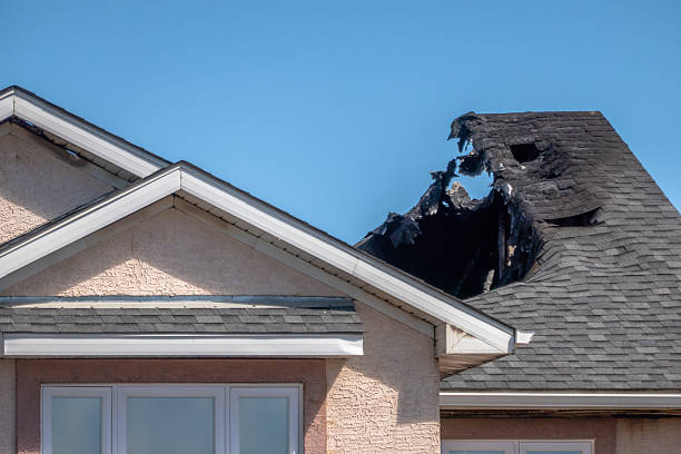 Top rated local Fire Damage Removal specialists in Woodbury, MN
